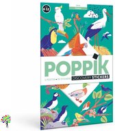 POPPIK - Lernposter & Sticker Vögel