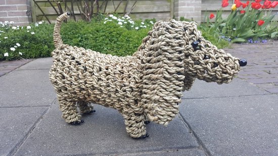 Decoratieve Hond - Dog - Touw - 45x30 cm
