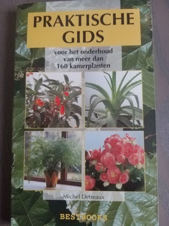 Praktische gids voor het onderhoud van kamerplanten