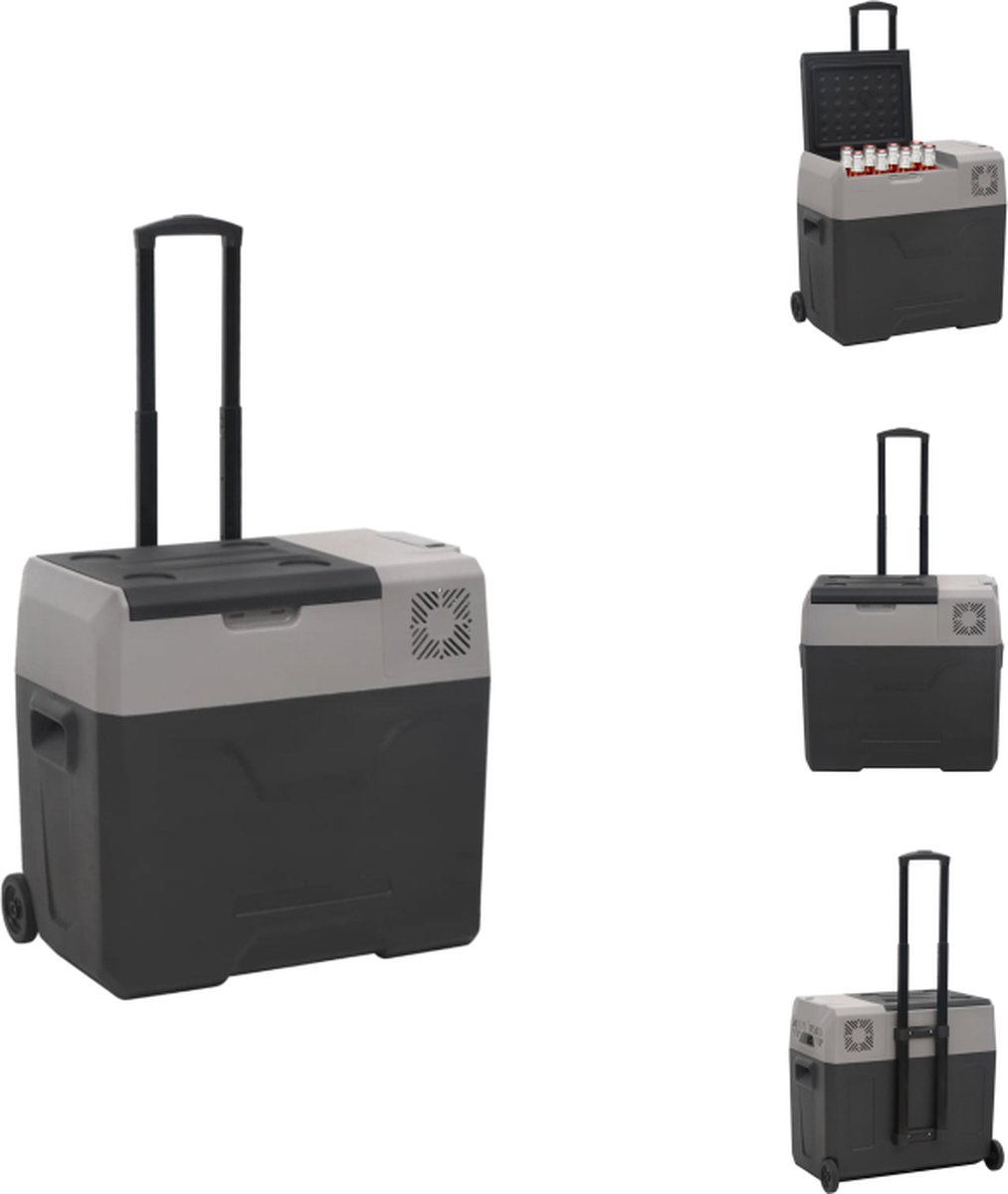 vidaXL Draagbare Koelbox - Elektrisch - 30L - Zwart/Grijs - PP/HDPE - Koelbox