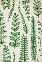 Vloerkleed Scion Ferns Juniper 125907 - maat 250 x 350 cm