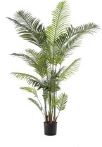 Emerald - Kunstplant Paradise Palm 200cm - Kunstplanten voor binnen