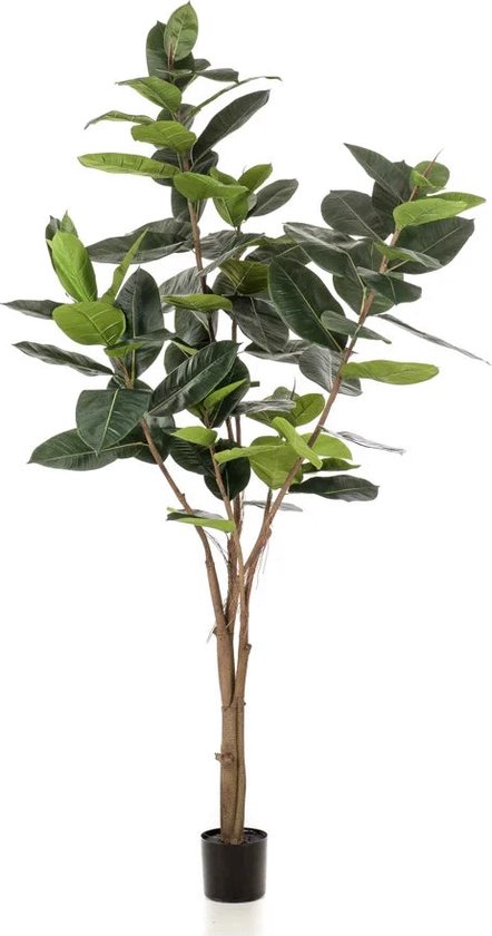 Emerald - Kunstboom Ficus Elastica 210cm - Kunstplanten voor binnen