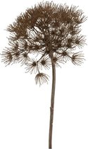 Fleurs artificielles de Berce du Caucase ou Heracleum 80 cm