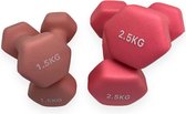 Padisport - Dumbell Neopreen Set 1,5 En 2,5- Gewichten Set Halters - Roze - Gewichten 2,5 Kg - Dumbellset - Halterset - Gewichtjes Set 2,5 Gewichten Set 1,5 Kg