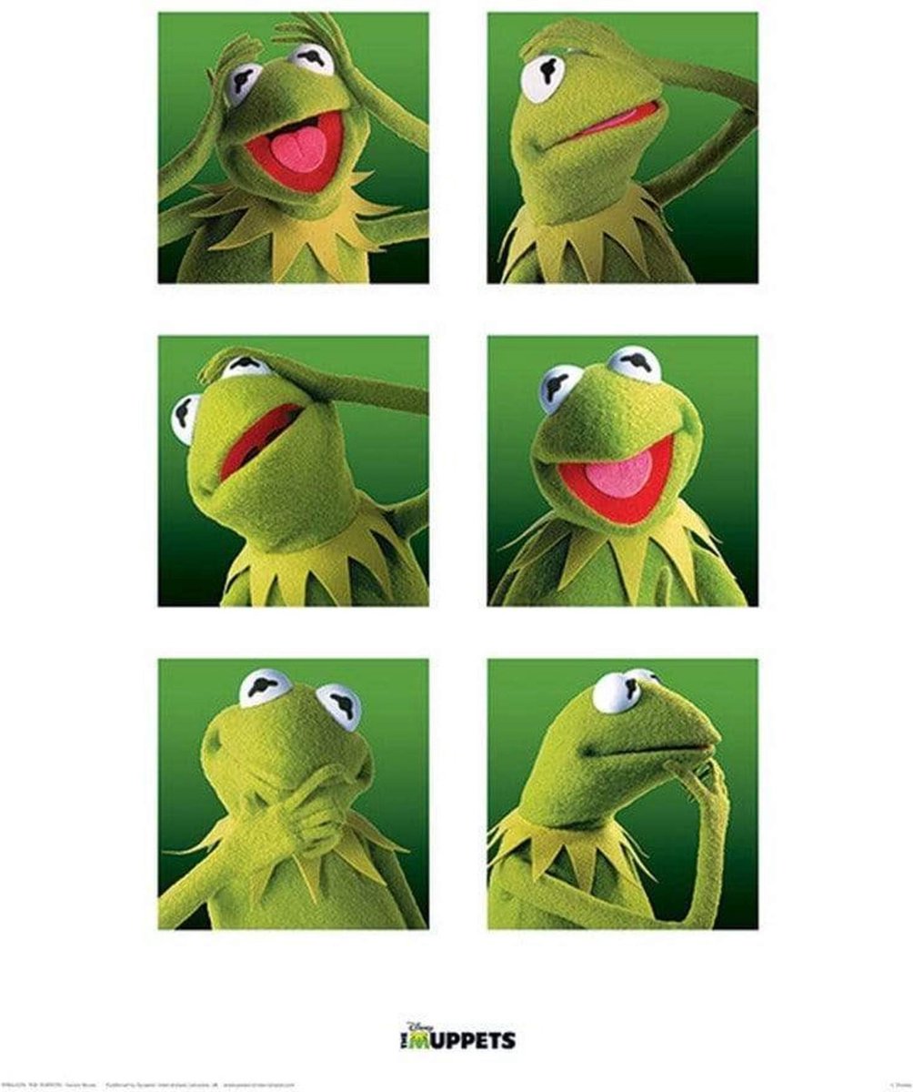 Pyramid Poster - The Muppets Kermit Boxes - 40 X 30 Cm - Multicolor Divers