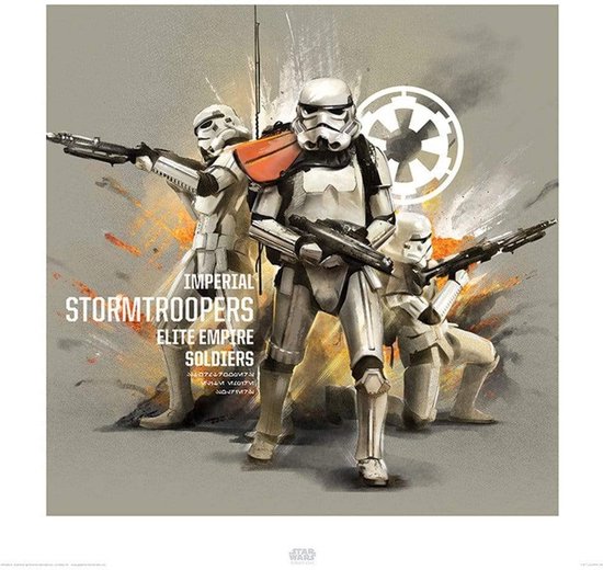 Foto: Kunstdruk star wars rogue one stormtroopers profile 40x40cm