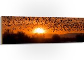 Hout - Dieren - Vogels - Planten - Zonsondergang - Water - 150x50 cm - 9 mm dik - Foto op Hout (Met Ophangsysteem)