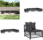 vidaXL 11-delige Loungeset met kussens staal antracietkleurig - Loungeset - Loungesets - Tuinset - Tuinmeubelset