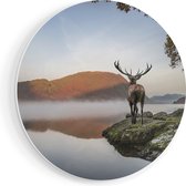 Artaza Forex cercle mural cerf au lac - 40x40 cm - Klein - cercle mural - peinture ronde - cercle de Décoration murale