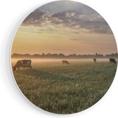 Artaza Forex Muurcirkel Koeien In De Wei Tijdens Zonsopkomst - 50x50 cm - Klein - Wandcirkel - Rond Schilderij - Muurdecoratie Cirkel