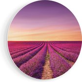 Artaza Forex Muurcirkel Paarse Lavendel Bloemenveld - 50x50 cm - Klein - Wandcirkel - Rond Schilderij - Muurdecoratie Cirkel