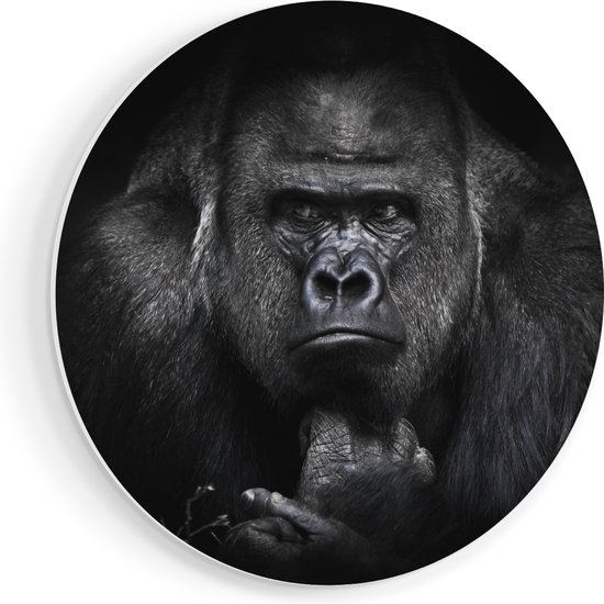 Artaza Forex Muurcirkel Gorilla - Zwart Wit - 50x50 cm - Klein - Wandcirkel - Rond Schilderij - Muurdecoratie Cirkel