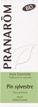 Pranarôm Huile essentielle de pin sylvestre BIO (10 ml)