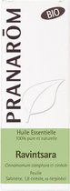 Pranarôm Ravintsara Etherische Olie (Cinnamomum Camphora CT Cineool) Bio 10 ml