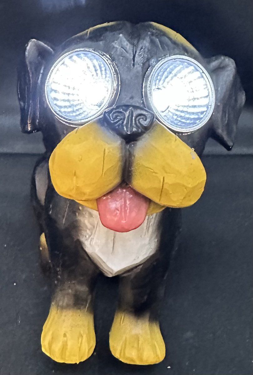 Impuls Polyresin solarlamp hond met LED ogen meerkleurig met 2 LEDs Staand model hoogte 13 x 12 x 10 cm staand model Tuindecoratie Tuinverlichting