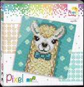 Pixel set alpaca