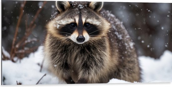 Dibond - Das - Dier - Sneeuw - Winter - Natuur - 100x50 cm Foto op Aluminium (Met Ophangsysteem)