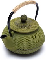 Tetsukyusu - Gietijzeren theepot 0,6 liter - groen - Geëmailleerde theepot in Japanse stijl - Met filter