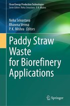Clean Energy Production Technologies - Paddy Straw Waste for Biorefinery Applications