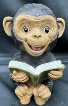 Decoratief polyresin dier met boek "zittende aap" - meerkleurig - hoogte 15x9x9 cm - Voor binnen of buiten - Tuinaccessoires - Woonaccessoires - Decoratieve beeldjes