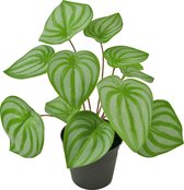 Greenmoods Kunstplanten - Kunstplant - Watermeloen - 29 cm