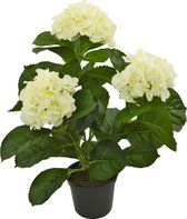 Greenmoods Plantes artificielles - Plante artificielle - Hortensia - Soie - Wit - 35 cm