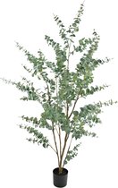 Kunstplant Eucalyptus 210 cm