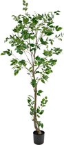 Kunstplant Ficus 210 cm