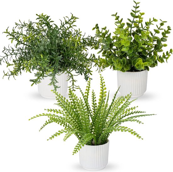 Set van 3 kunstplanten in pot, kunstplanten zoals echte eucalyptus, mini-kunstrozemarijn, kunstvarenplant voor decoratie, woonkamer, tafeldecoratie, badkamer, bureau