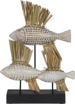 Decoratieve figuren Wit Bruin Natuurlijk Vissen 30 x 10 x 40 cm