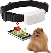 Tracker Dog - Tracker Cat - Tracker Pet - Tracker GPS Tracking System Dog - Tracker GPS Dog - Wit