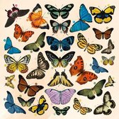 Timeless Butterflies Collection - Snijmallen/Knipvellen-set