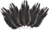 Chaks Struisvogelveren/sierveren - 10x - zwart - 20-25 cm - decoratie/hobbymateriaal