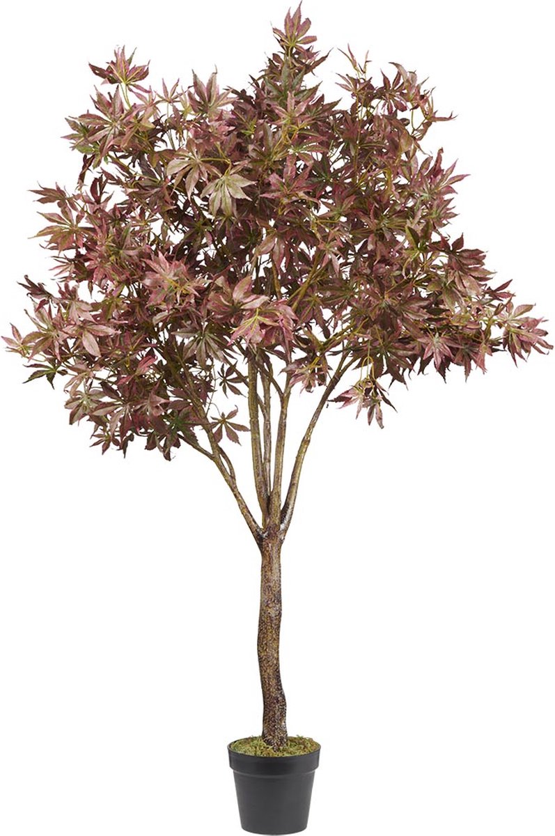 Kunstplant Acer (Japanse esdoorn) H165cm - HTT Decorations kunstplanten