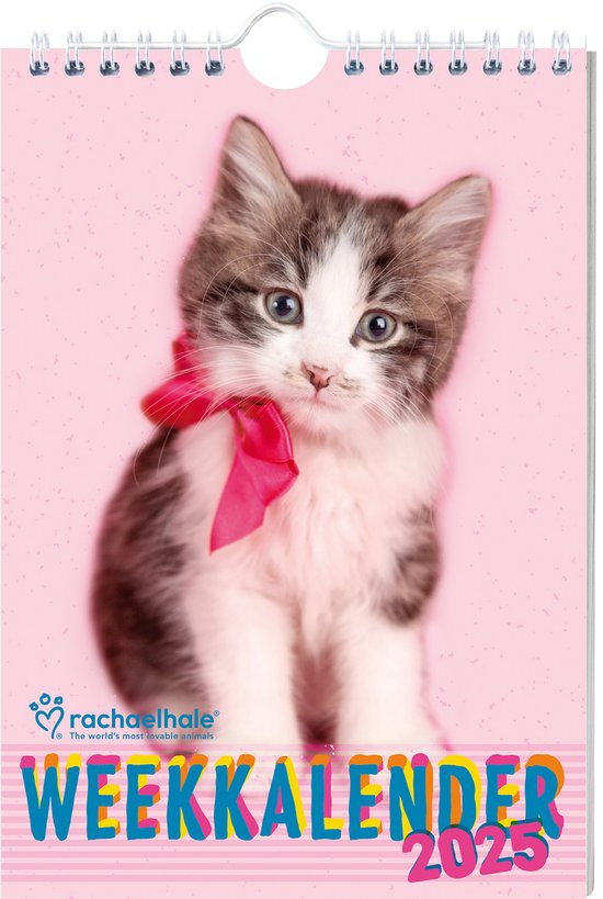 Rachael Hale Katten weekkalender 2025 bol