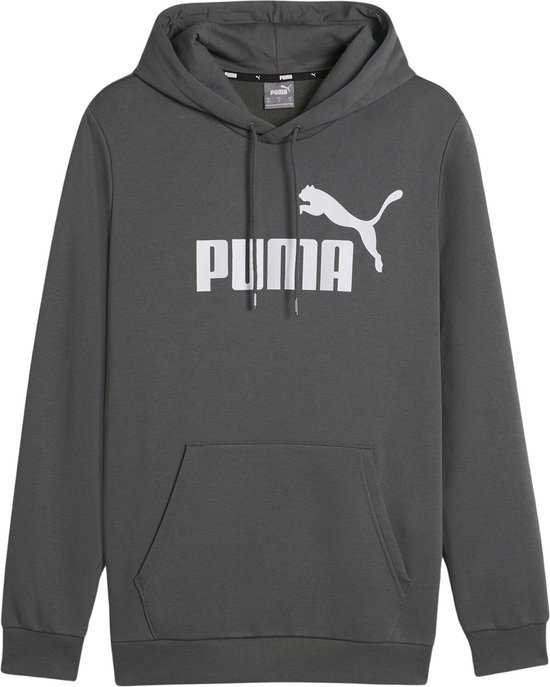 Essential Hoodie Trui Mannen