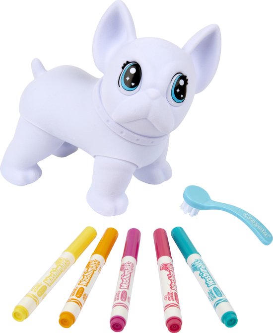 Witte Franse Bulldog Washimal met grote blauwe ogen en een halsband, met vijf Washimals stiften (geel, oranje, roze, rood, cyaan) en een blauw borsteltje.
