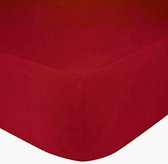 Princess Line- Comfortabel Ultra-Soft-Hoeslaken -100% katoen-Jersey -Stretch -Strijkvrij- Rondom elastiek-Hoekhoogte tot 30cm-Twijfelaar-120x200 cm-Rood