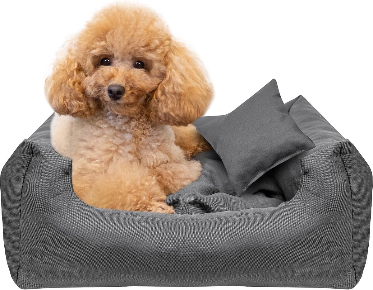 Creative Pets | Hondenbed voor huisdieren 55 x 45 x 19 cm | Grijs | Hondenbed met fluffy hondenkussen | Hondenmand honden bed | Hondenbed mat