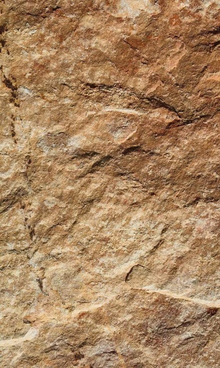 Fotobehang - Marble 150x250cm - Vliesbehang