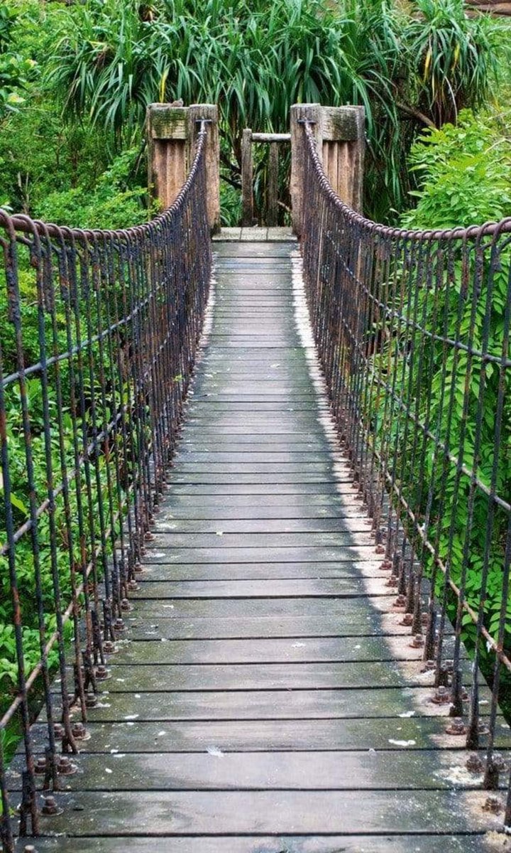 Fotobehang - Footbridge 150x250cm - Vliesbehang