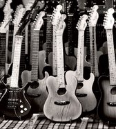 Fotobehang - Guitars Collection 225x250cm - Vliesbehang