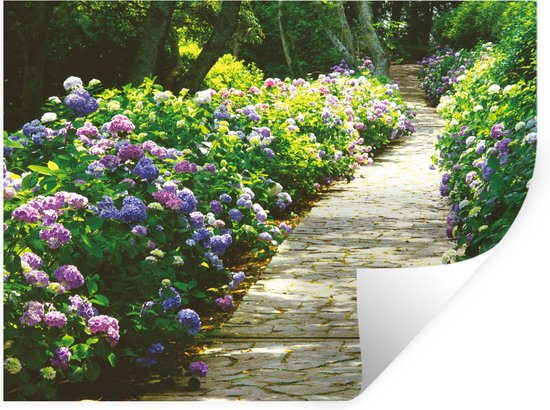 Muurstickers - Sticker Folie - Voetpad omgeven door hortensia - 160x120 cm - Plakfolie - Muurstickers Kinderkamer - Zelfklevend Behang XXL - Zelfklevend behangpapier - Stickerfolie