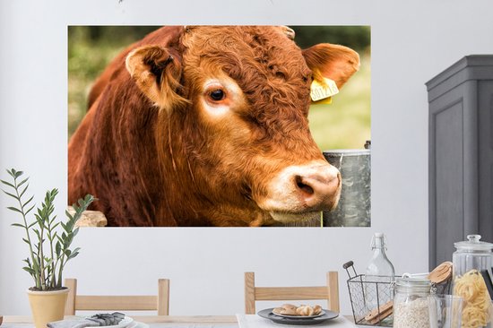 Stickers muraux - Film autocollant - Highlander écossais - Berg - Clôture - 120x80 cm - Film adhésif - Stickers muraux chambre d'enfant - Papier peint autocollant - Papier peint autocollant - Film autocollant