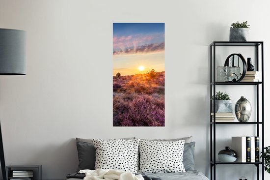 Heather fleurissant pendant le coucher du soleil aux Nederland