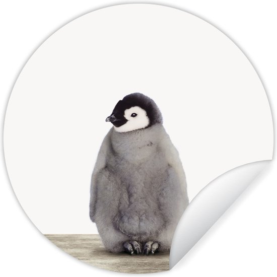 Behangsticker - Decoratie voor kinderkamers - Kinderen - Pinguïn - Grijs - Dieren - Meisjes - Jongens - 80x80 cm - Wanddecoratie - Kamer decoratie