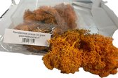 Rendiermos, mos Oranje 50 gram. Geschikt voor decoraties, mosschilderijen, moswanden, bloemstukjes