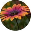 Flowertastic - Multicolour