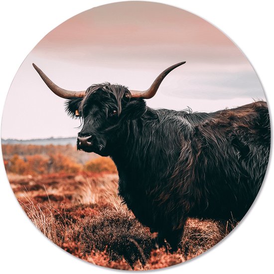 Label2X - Peinture - Highlander Ø Recommandé - Multicolore - 30 X 30 Cm